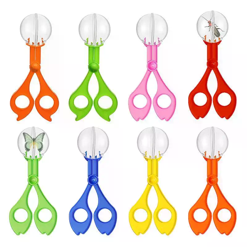Set di forbici educative per c - Outdoor Camping Kids Activities recensione e prezzo