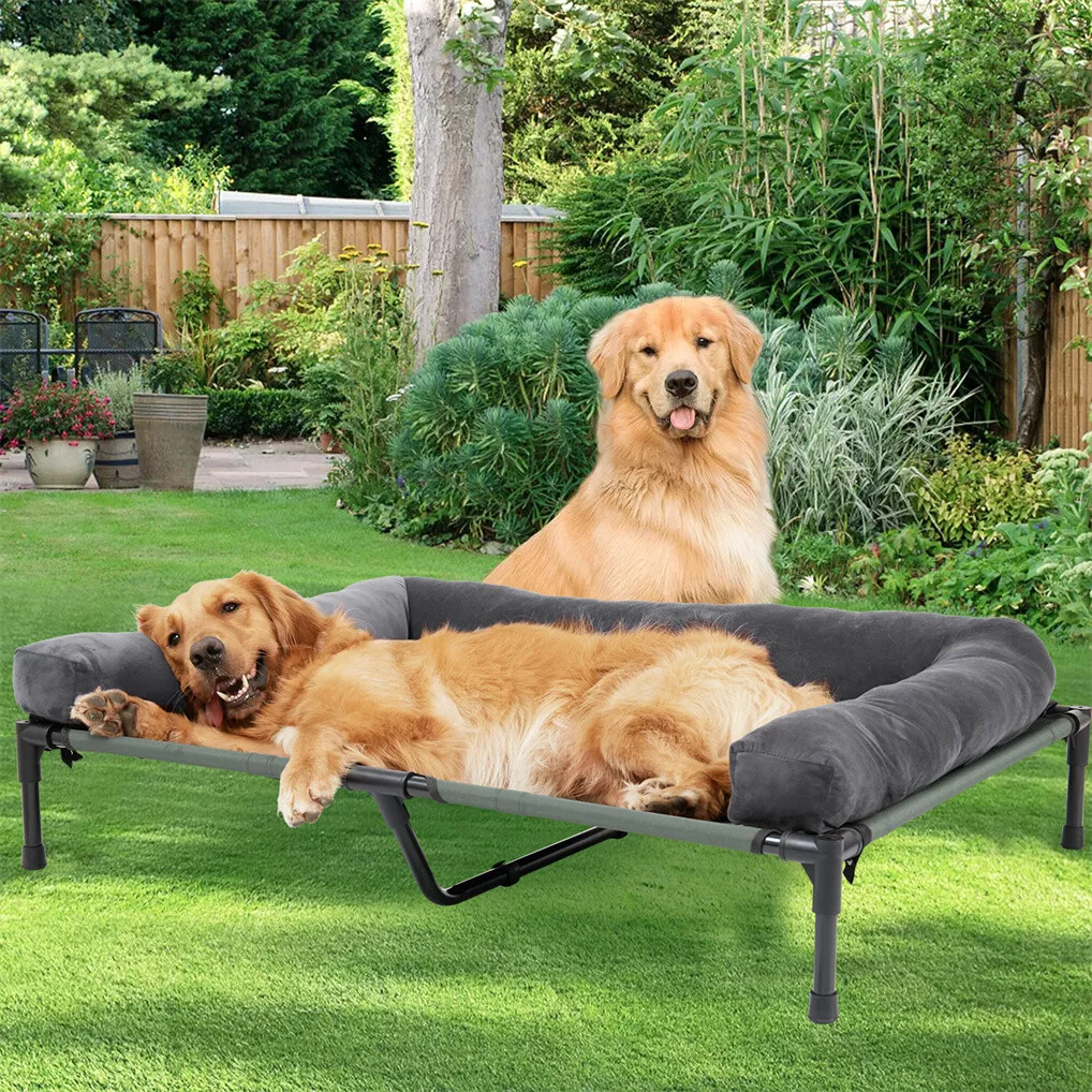 BINGOPAW Cuccia Rialzata per C - Outdoor Camping Cot recensione e prezzo