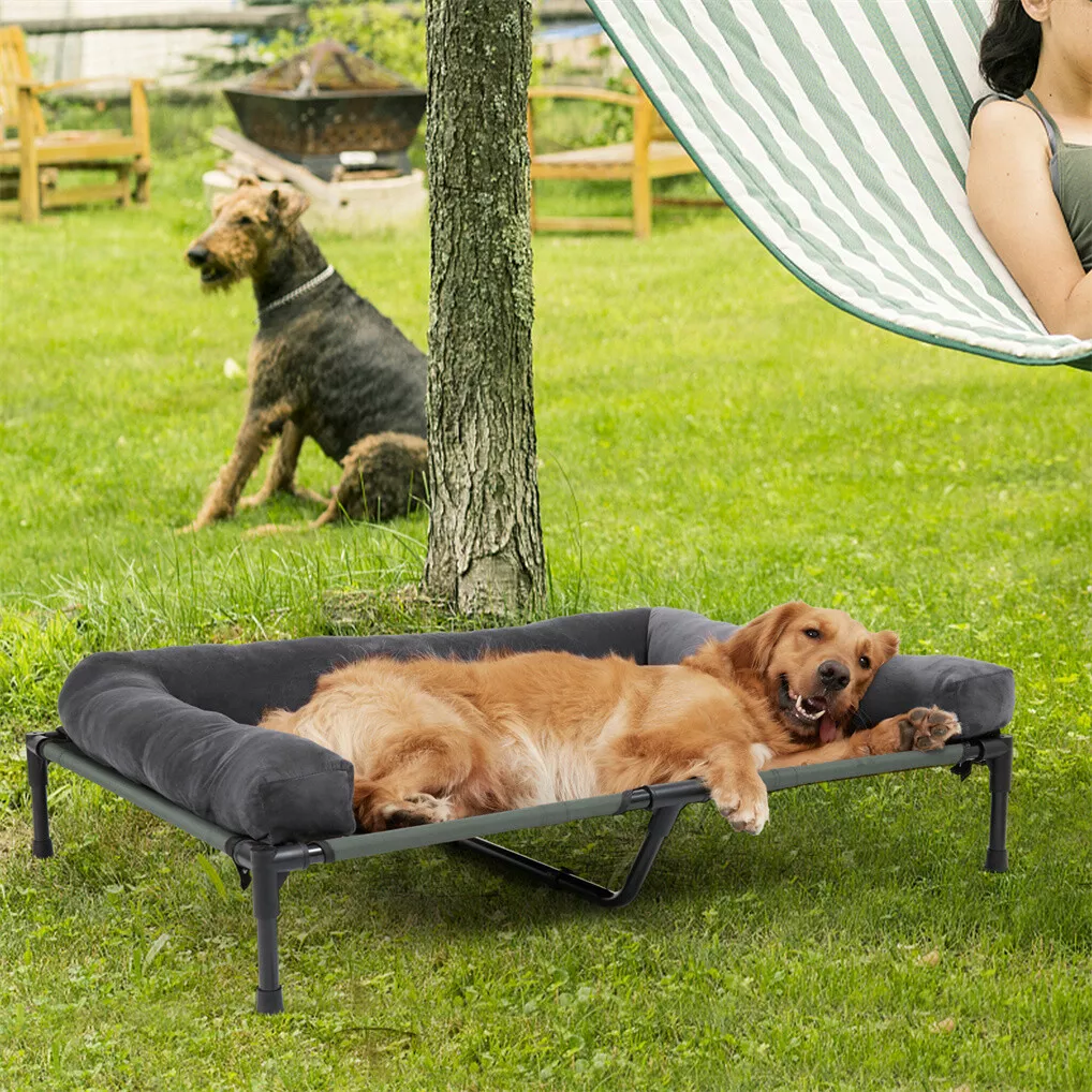 BINGOPAW Cuccia Rialzata per C - Outdoor Camping Cot recensione e prezzo