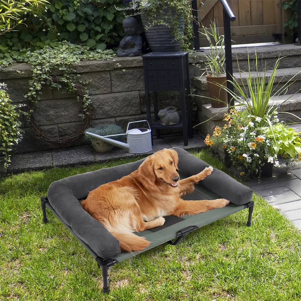 BINGOPAW Cuccia Rialzata per C - Outdoor Camping Cot recensione e prezzo